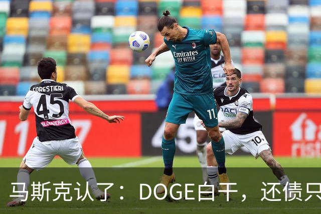 马斯克认了：DOGE白干，还债只能靠AI和机器人